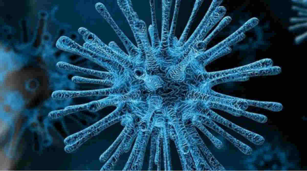 Coronavirus 2.0 Symptoms: కొత్త కరోనావైరస్ స్ట్రెయిన్ లక్షణాలు ఏంటి? ఎలా గుర్తించాలి ?