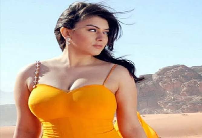 హైకోర్టును ఆశ్రయించిన హీరోయిన్ హన్సిక