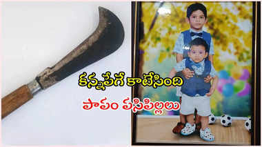 ఇద్దరు కొడుకులను నరికి చంపిన తల్లి.. ఆపై తాను కూడా..