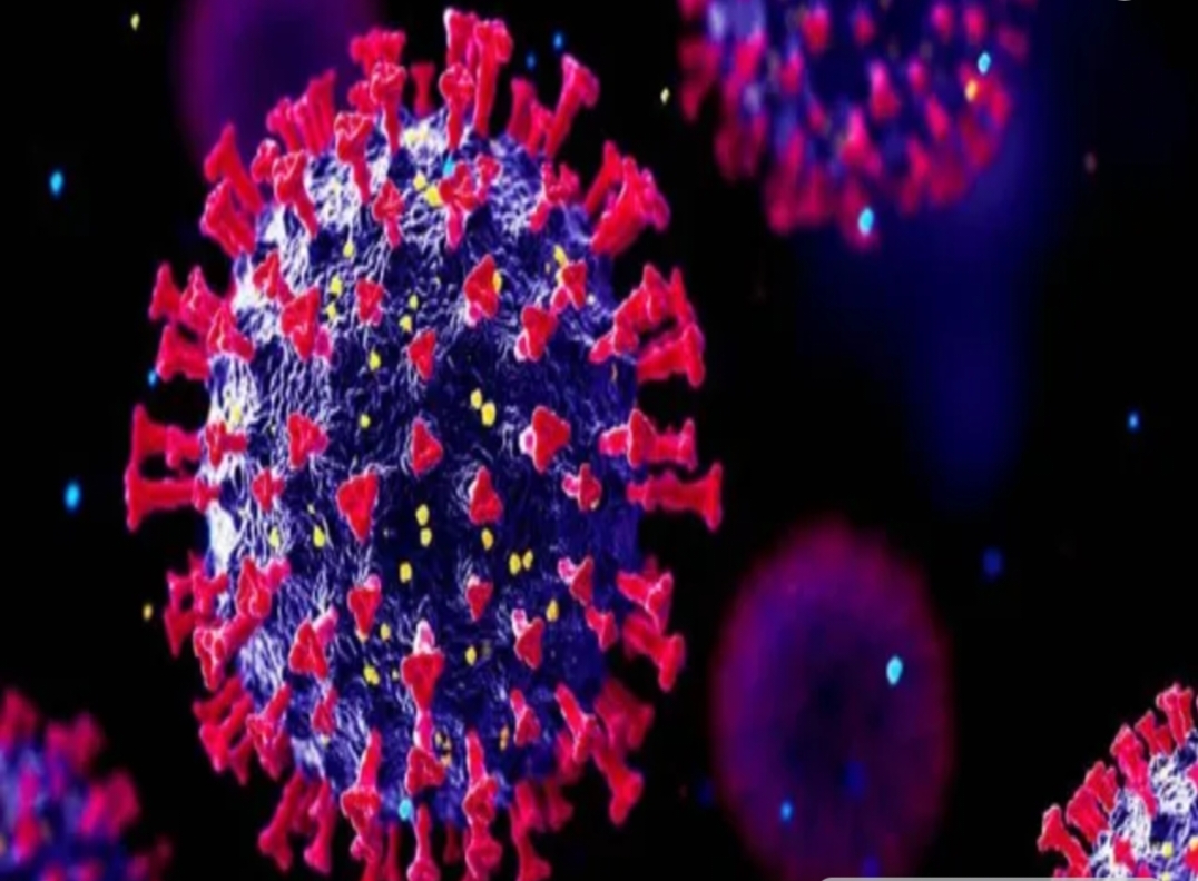 ఏపీలో మరో మూడు కరోనా కేసులు