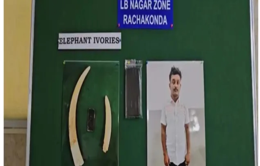 బస్సులో అనుమానస్పదంగా కనిపించిన వ్యక్తి.. తనిఖీ చేస్తే షాకింగ్ విషయాలు