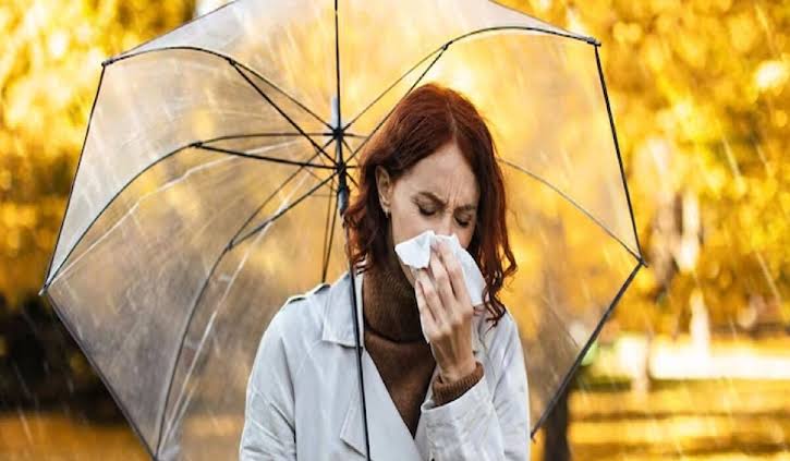 వర్షాకాలంలో వ్యాధులకు ఇలా చెక్ పెట్టండి..