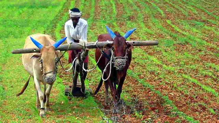 రైతులకు అదిరిపోయే శుభవార్త