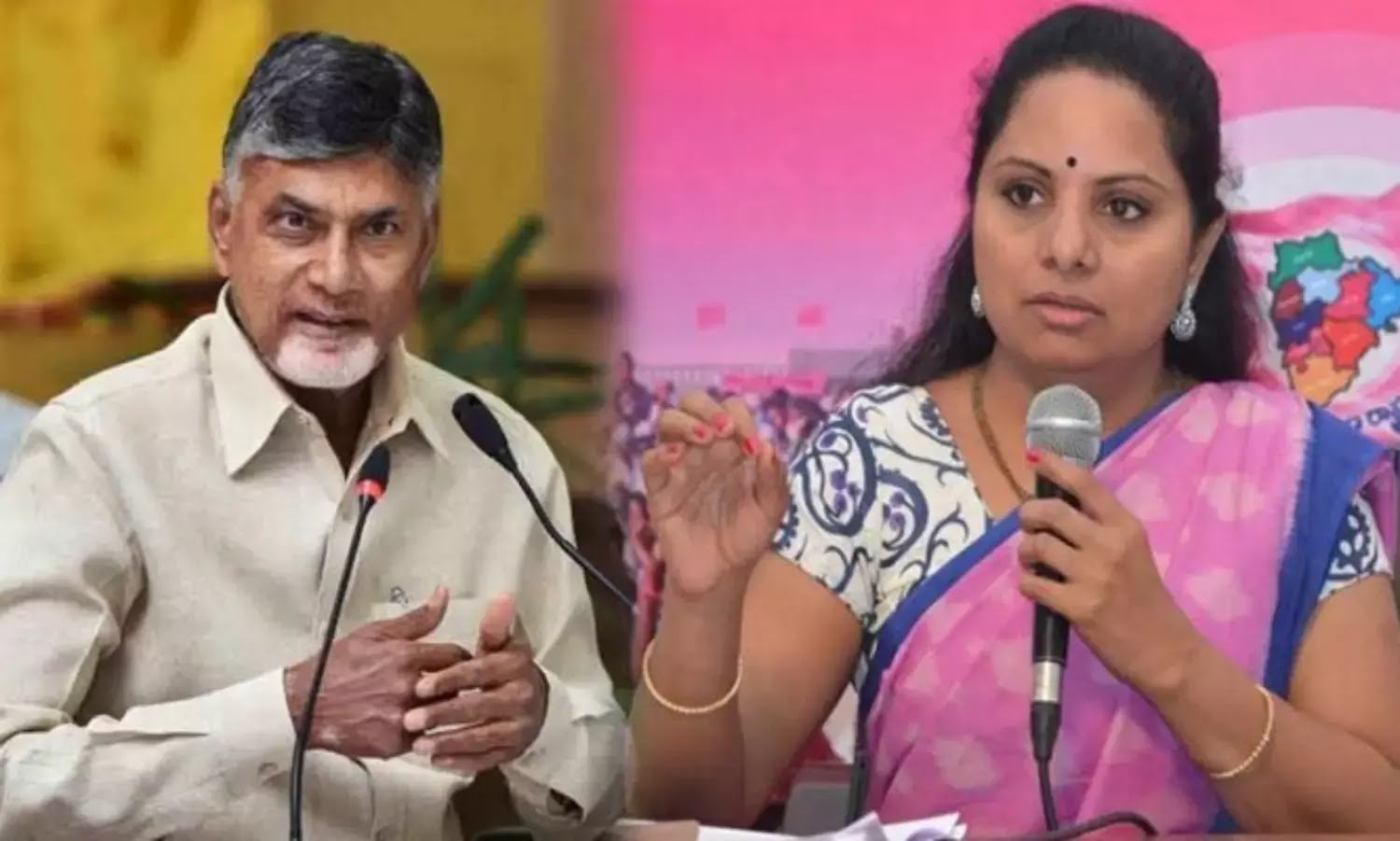 సీఎం చంద్రబాబుకు కవిత లేఖ