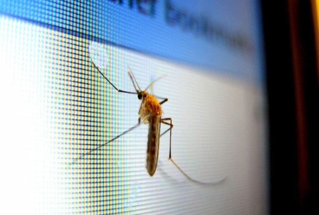 రాష్ట్రంలో దోమల నివారణకు AI సాయం