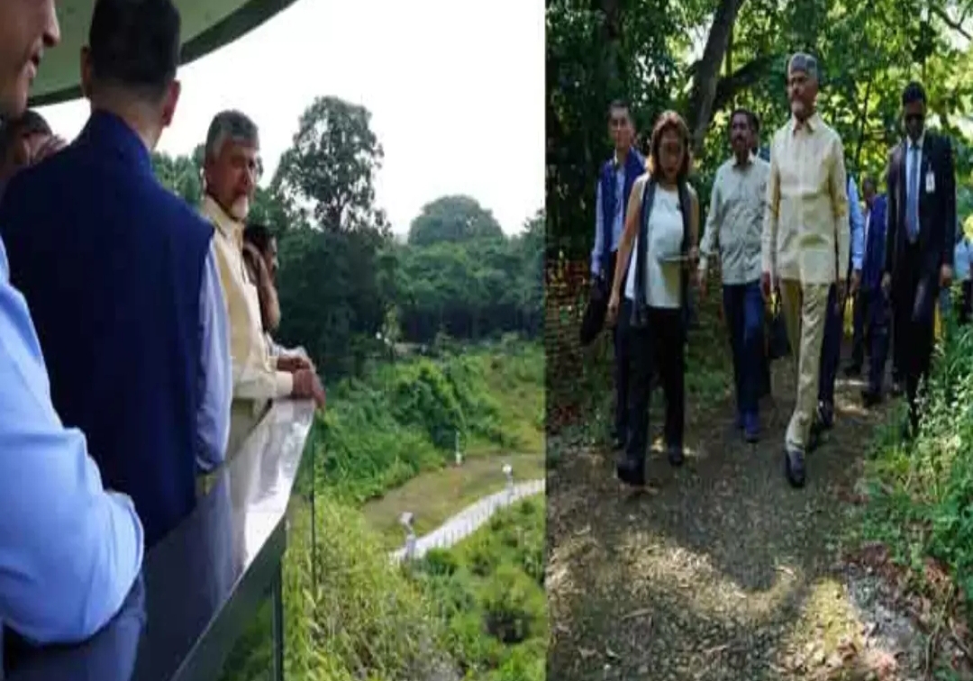 సింగపూర్ లో రెండు గంటల పాటు కాలినడకన తిరిగిన చంద్రబాబు