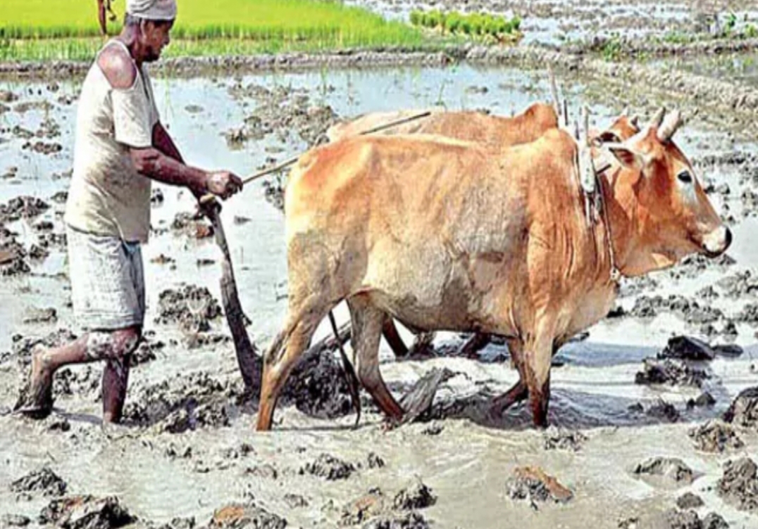 ఖాతాల్లోకి పీఎం కిసాన్- అన్నదాత సుఖీభవ డబ్బులు