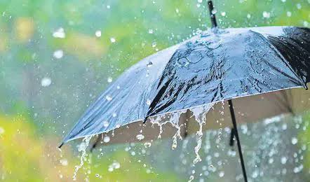 అల్పపీడనం: ఈ జిల్లాల్లో భారీ వర్షాలు