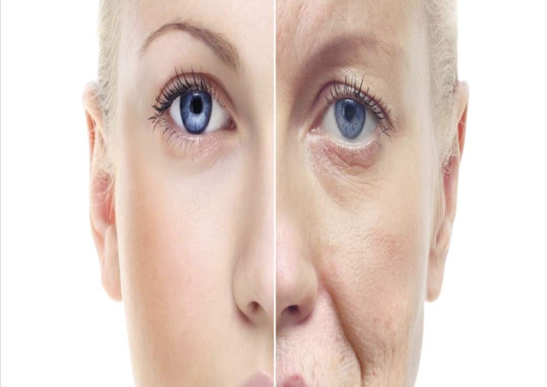 చర్మంపై ముడతలు పోవాలంటే ఇది చాలా అవసరం