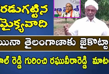 జైపాల్ రెడ్డి పచ్చి సమైక్యవాది :  ఏపీ పీసీసీ చీఫ్ రఘువీరారెడ్డి