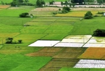 దేశంలో ఎక్కువ భూమి ఎవరికి ఉందో తెలుసా?