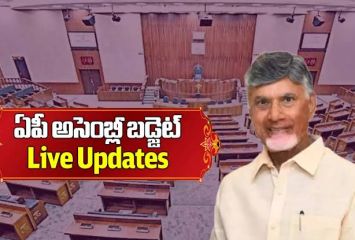 AP Budget: తల్లికి వందనం, అన్నదాత సుఖీభవకు భారీగా నిధులు కేటాయింపు