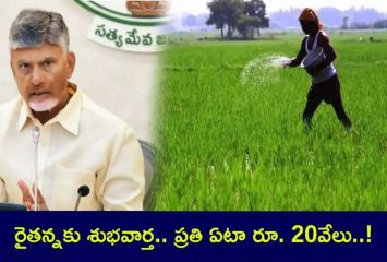 AP Budget: ప్రతి ఏటా రైతుకు రూ.20 వేలు