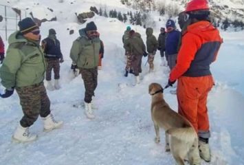 ఉత్తరాఖండ్‌లో మంచుచరియ ప్రమాదంలో ముగిసిన రెస్కూ ఆపరేషన్, ఎనిమిది మంది మృతి  