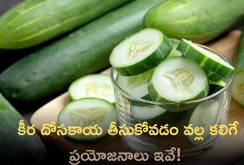 కీర దోసతో బోలెడు లాభాలు..