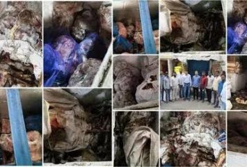 కుళ్లిన మాంసంతో హలీమ్..