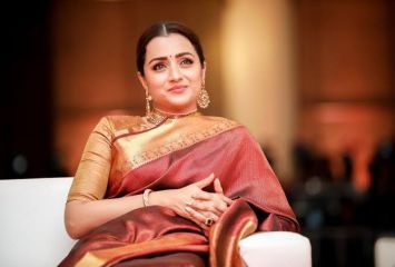 సోషల్ మీడియా ట్రోలర్స్ పై నటి త్రిష ఫైర్