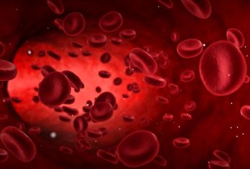 బాడీలో ఐరన్ తక్కువైతే కనిపించే లక్షణాలు