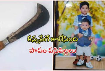 ఇద్దరు కొడుకులను నరికి చంపిన తల్లి.. ఆపై తాను కూడా..