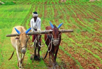 రైతులకు కేంద్రం బిగ్ అలర్ట్