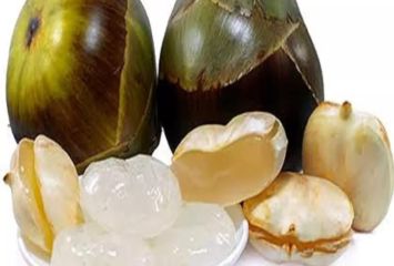 తాటి ముంజలు తినడం వల్ల లాభాలు