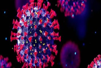 ఏపీలో మరో మూడు కరోనా కేసులు