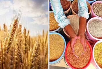 పంటల కనీస మద్దతు ధర పెంచిన కేంద్రం