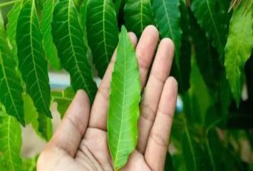 పరగడుపున వీటిని తింటే ఎన్ని లాభాలో..!