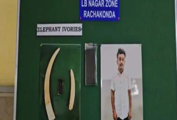 బస్సులో అనుమానస్పదంగా కనిపించిన వ్యక్తి.. తనిఖీ చేస్తే షాకింగ్ విషయాలు