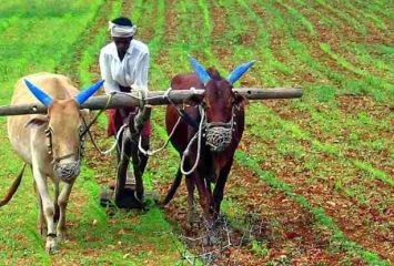 రైతులకు ప్రభుత్వం గుడ్ న్యూస్ 