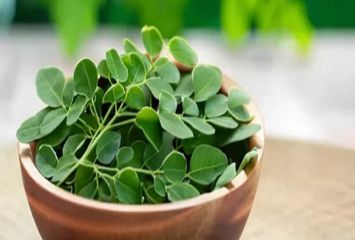 మునగాకు బెనిఫిట్స్ తెలిస్తే అస్సలు వదిలిపెట్టరు..!