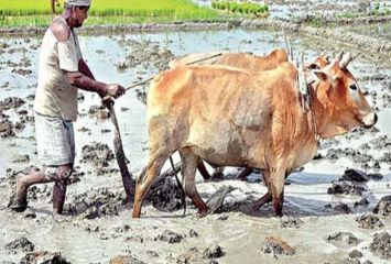 ఖాతాల్లోకి పీఎం కిసాన్- అన్నదాత సుఖీభవ డబ్బులు